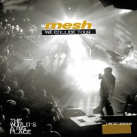 What Are You Scared Of ? - Mesh