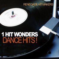 Show Me Love - Renegade Hit Makers
