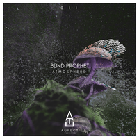 Finger Wag Riddim - Blind Prophet