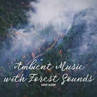 Biphasic Sleeping - Sleep Repeat & Sleeping Ember & Sleep Sounds