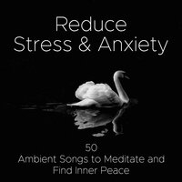Shamanic Dream - Destress Relaxing Music School