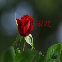 鹤发童颜 - 冯荷