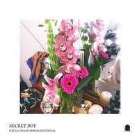 I'm Not Gonna Do It - WICCA PHASE SPRINGS ETERNAL