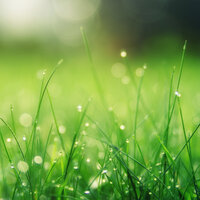 Sporadic Splashes - White Noise Nature Sounds Baby Sleep & Kinderlieder Megastars & Baby Lullabies Music