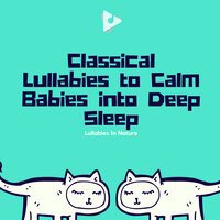 Pop Goes The Weasel with Calming Rain Sounds - Lullabies In Nature