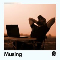 Sunflowers on the Field - Relaxing Music for Stress Relief