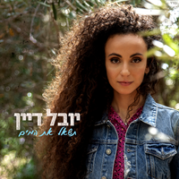 דמעות שקופות - Yuval Dayan