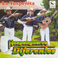 Mi Fantasía - Huapangueros Diferentes