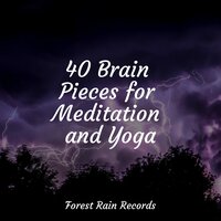 Summer Rains - Rain Sounds XLE Library & Nature and Rain & Música de la Naturaleza