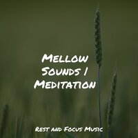 Universal Peace - Chakra Meditation Universe & Música para Massagem Especialistas & Entspannungsmusik Oase
