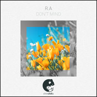 Don't Mind - R.A