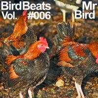Chutney Wombat - Mr Bird