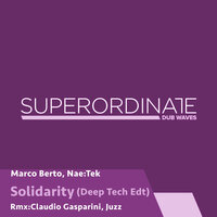 Solidarity - Marco Berto & Nae:Tek & Claudio Gasparini