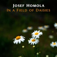 Gleam - Josef Homola