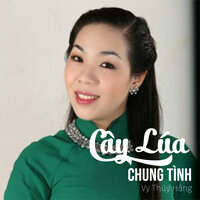 Cây Lúa Chung Tình #1 - Vy Thúy Hằng & Hoàng Lê Tâm