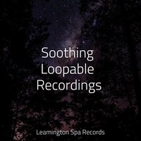 Lake Reflection - Rain Sound Studio & Nature and Rain & Pacific Rim Nature Sounds