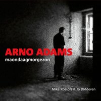 De Kunstenaer - Arno Adams