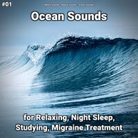 Ocean Sounds Pt. 37 - Beach Sounds & Nature Sounds & Ocean Sounds
