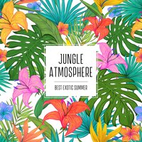 Jungle Ambience at Night - Sounds of Nature Kingdom
