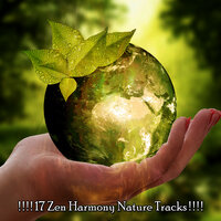 В верхушках деревьев - Nature Sounds for Sleep and Relaxation