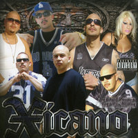 Mi Barrio - Snapper