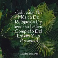 Cuerpo Y Alma - Dormir Sol & Sonidos de lluvia para dormir & Sueño Lucido
