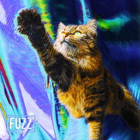 Fusion - Fuzz