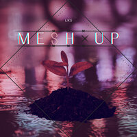 Mesh Up - Lks