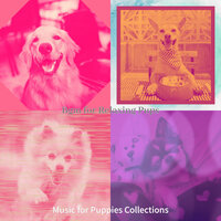 Vivacious Ambience for Puppies - Music for Puppies Collections