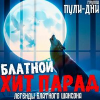 Бутылка вина - Группа Пули-Дни