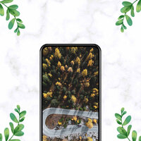 Delightful Jazz Saxophone - Vibe for Refreshing Spring - Cafe lounge