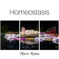 Cure for Exhaustion - Maire Rama