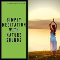 Invisible and Charming - Future Relax & Meditation Club