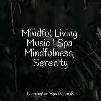 Oxygen - Reiki Tribe & Yoga Soul & Rain Storm Sample Library