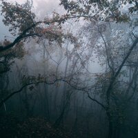 Nadando En Tu Mente - Meditação Yoga Maestro & Sonidos De Lluvia y Tormentas & Canciones de Cuna 101