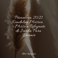 Siempre Tranquilo - Lluvia PQ & Relajación Meditar Academie & Unidad de música zen relajante