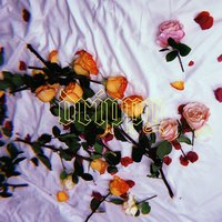 Drippy - IAMDDB