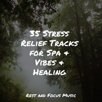 Downtempo Downtown - Massagem Coleção de Músicas & Study Concentration & Meditation Zen