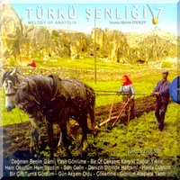 Hasta Düştüm (Uzun Hava) - Mehmet Erenler