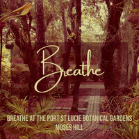 The Intro Orchid Garden - Moses Hill