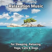 Relaxation Music, Pt. 76 - Relaxing Music by Sibo Edwards & Yoga & Relaxing Spa Music
