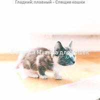 Звуки (Котята) - Богатый Музыка для кошек