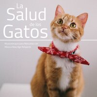 Felino - Cuna Lullabies