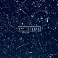 Essentialist - Mtd