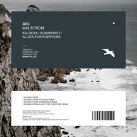Malstrom - Aio & Allies For Everyone