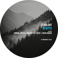 Focus Harder - Echology