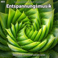Emotionen im Raum - Entspannungsmusik Jakob Kohs & Schlafmusik & Entspannungsmusik