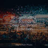 Calming Nature Bird Songs - Natural Sounds & Nature Sound Series & Meditation Relaxation Club