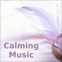 Mindfulness Meditation - Calm Music Masters
