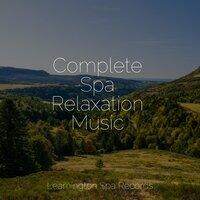 Evening Calm - Natureza Musica Bem-Estar Academia & Deep Sleep Systems & White Noise for Deeper Sleep